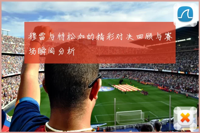穆雷与特松加的精彩对决回顾与赛场瞬间分析